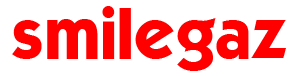 fzsmilegaz.com